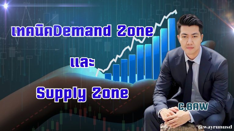 เทคนิคด่านตำรวจ (3)